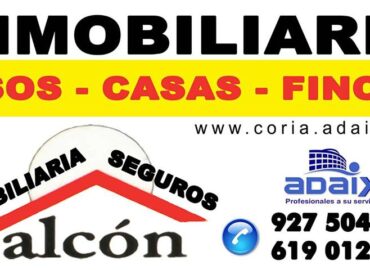 GESTIÓN INMOBILIARIA A.MARIO ALCÓN S.L